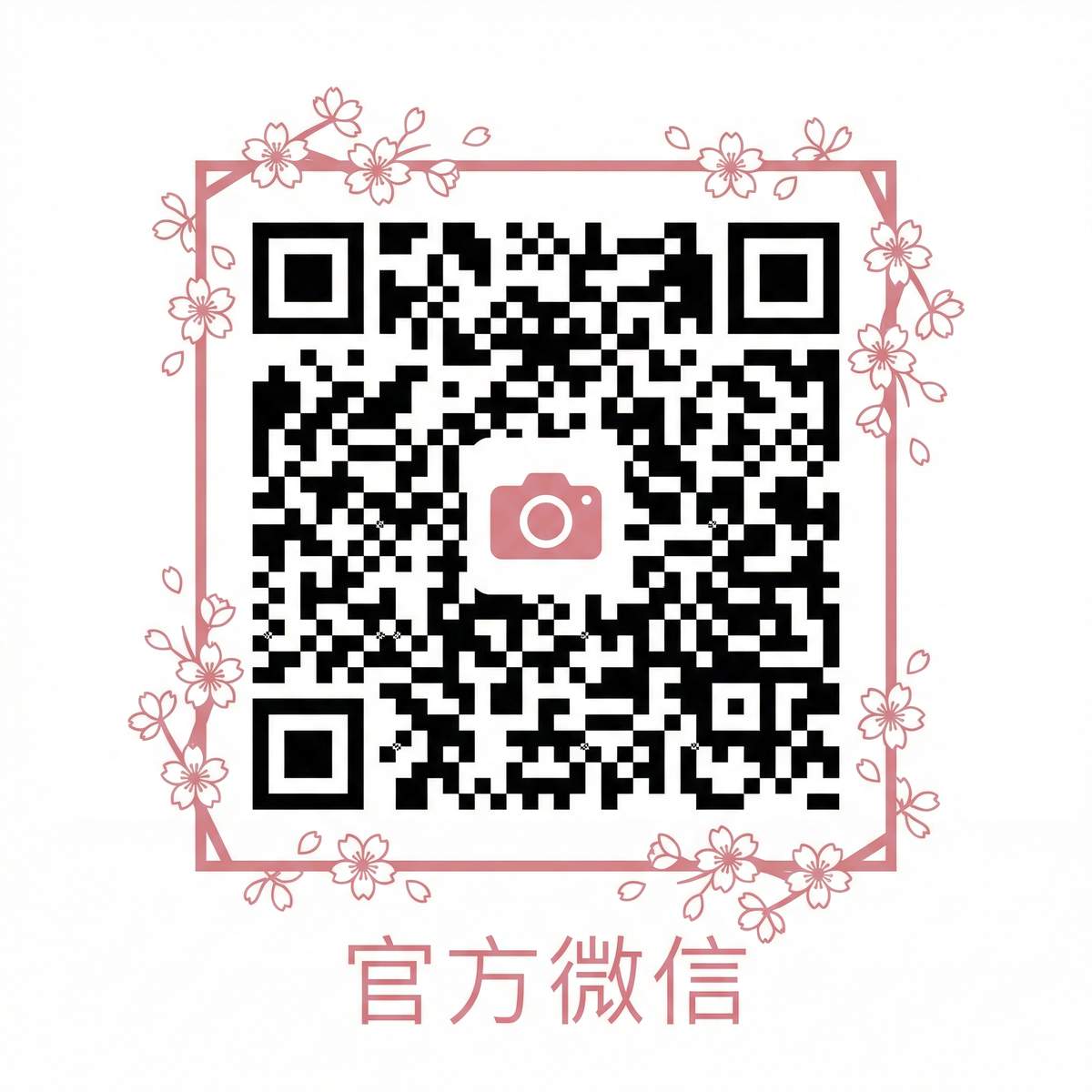 大奶公众号二维码